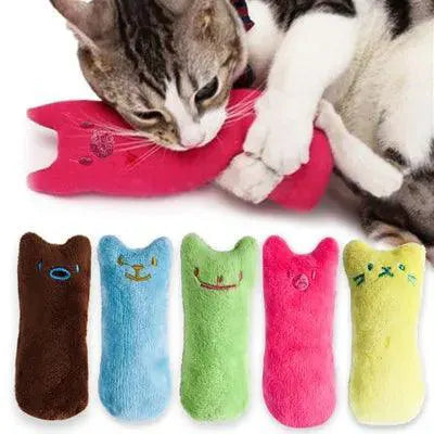 Catnip Interactive Plush Toy for Dental Health Fun