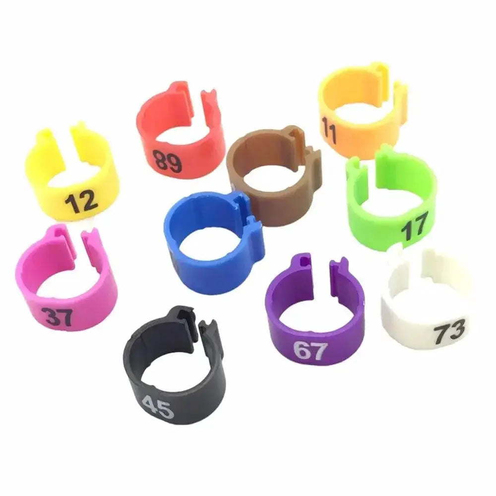 Colorful Bird Foot Rings For Pigeons And Parrots Durable