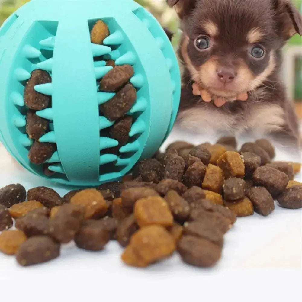 Dog Interactive Dental Health Chew Toy Ball For Pets