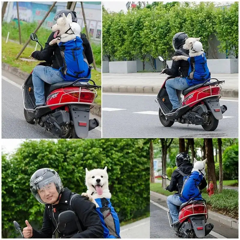 Ventilated Dog Carrier Backpack for Hiking and Cycling
