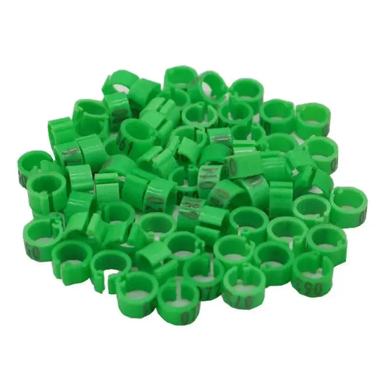 Pigeon Training Leg Bands Colorful Plastic Bird Tags 100 Pcs