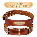 Personalized Leather Dog Collar with Free Engraving