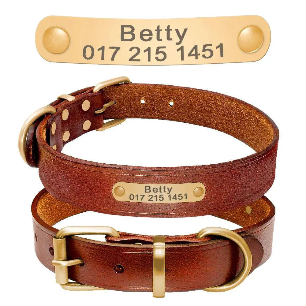 Personalized Leather Dog Collar With Free Engraving