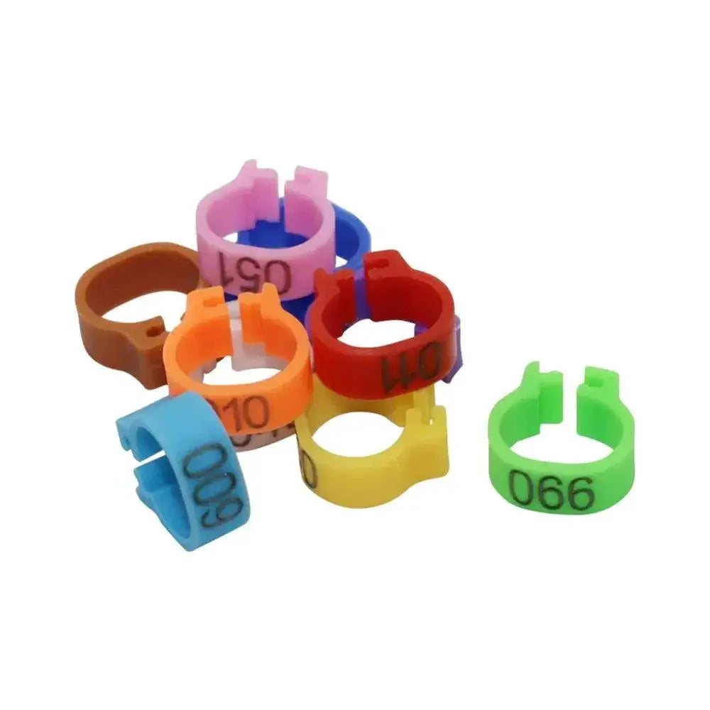 Birds Feet Rings 10 Colors Variety Pack For Bird Training
