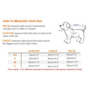 Summer Black Dog Vest for Small Breeds Stylish Design