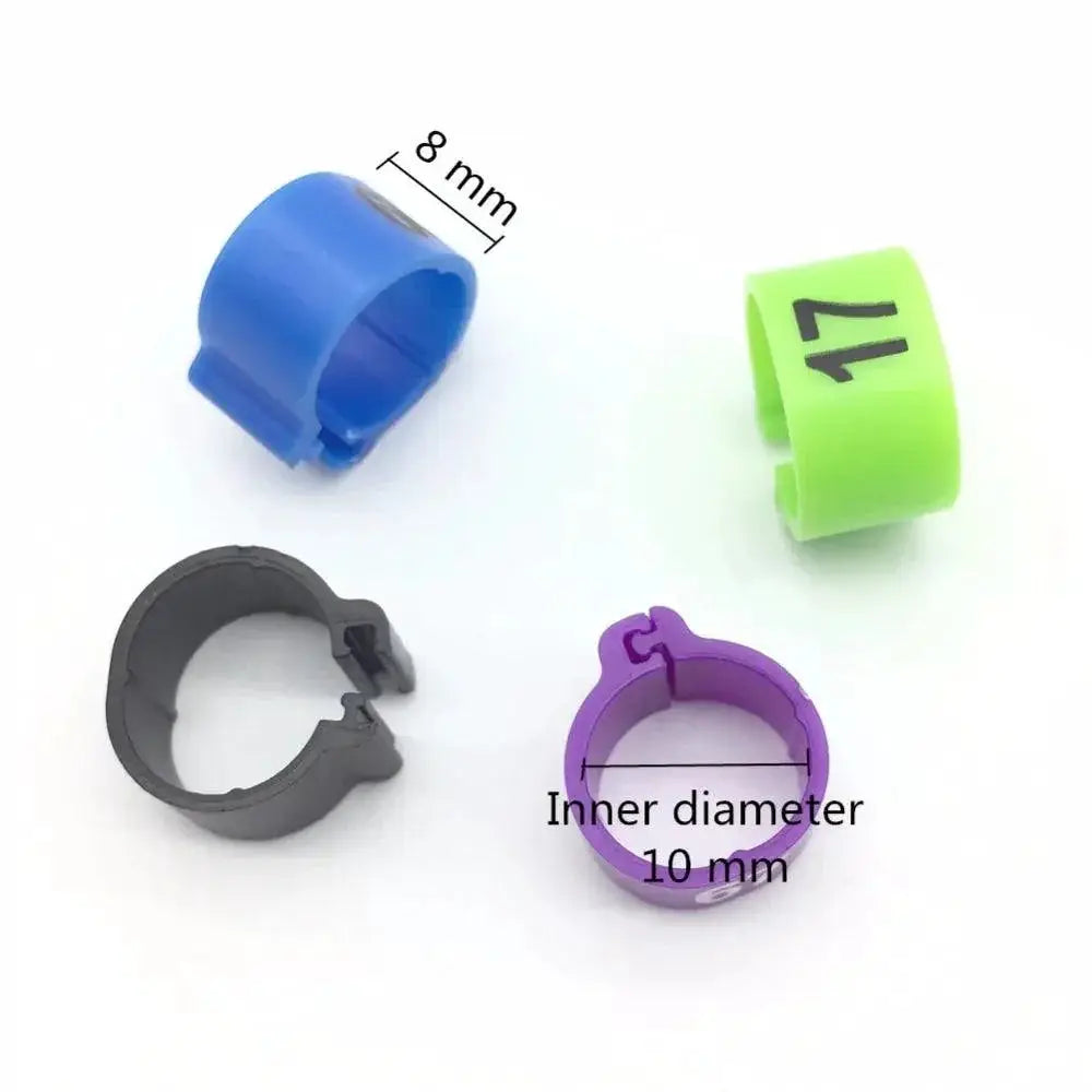 Colorful Bird Foot Rings For Pigeons And Parrots Durable