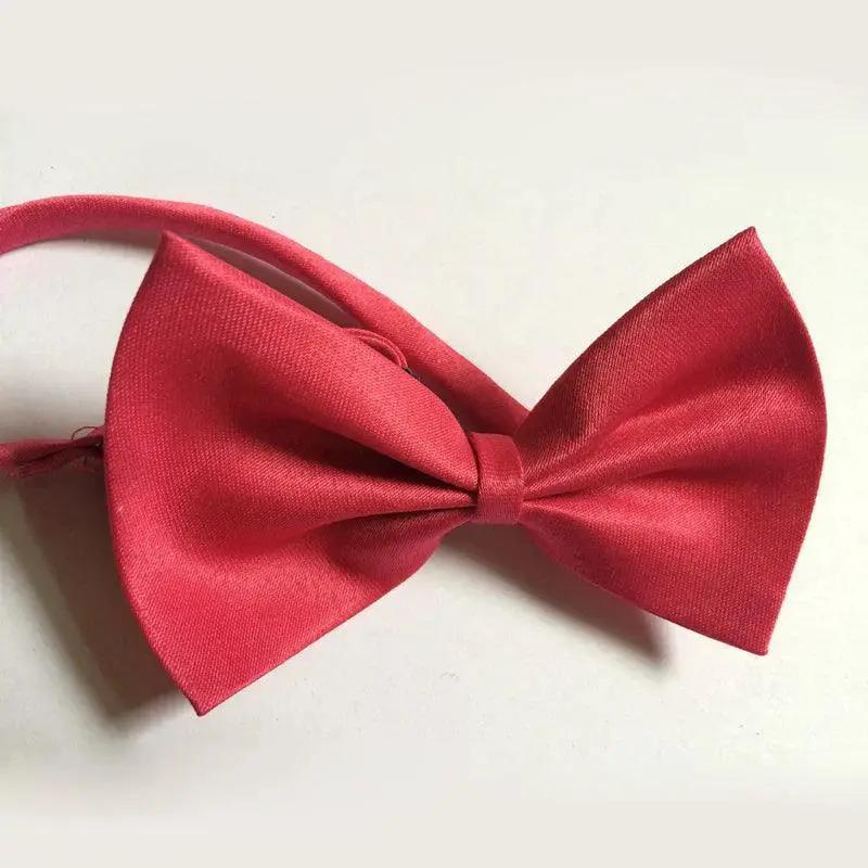 Pet Bow Tie Set Multicolor Grooming Accessories For Pets