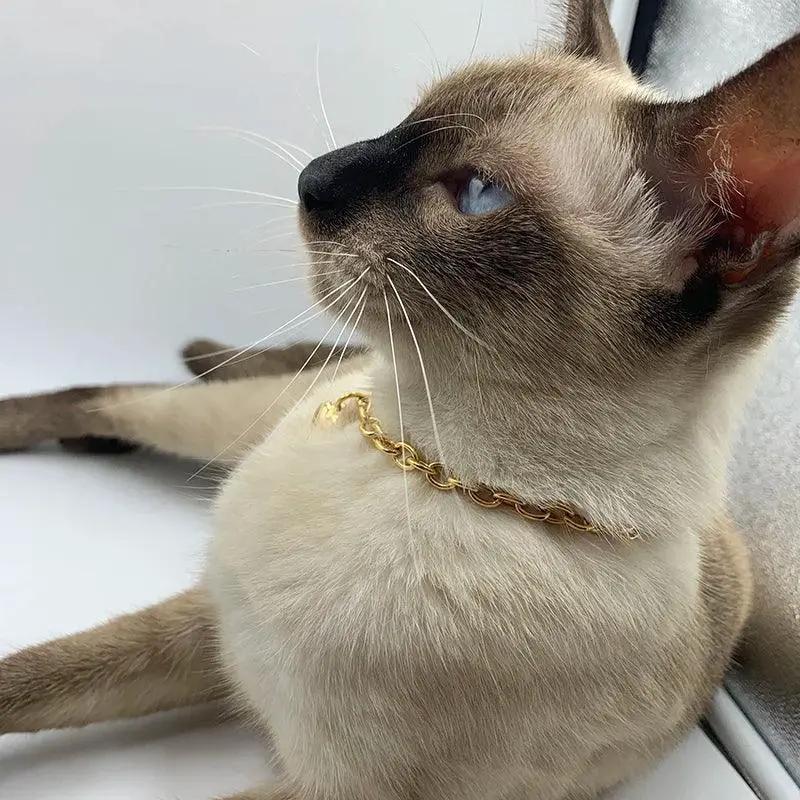 Gold Heart Charm Necklace For Pets Stainless Steel Cat Dog