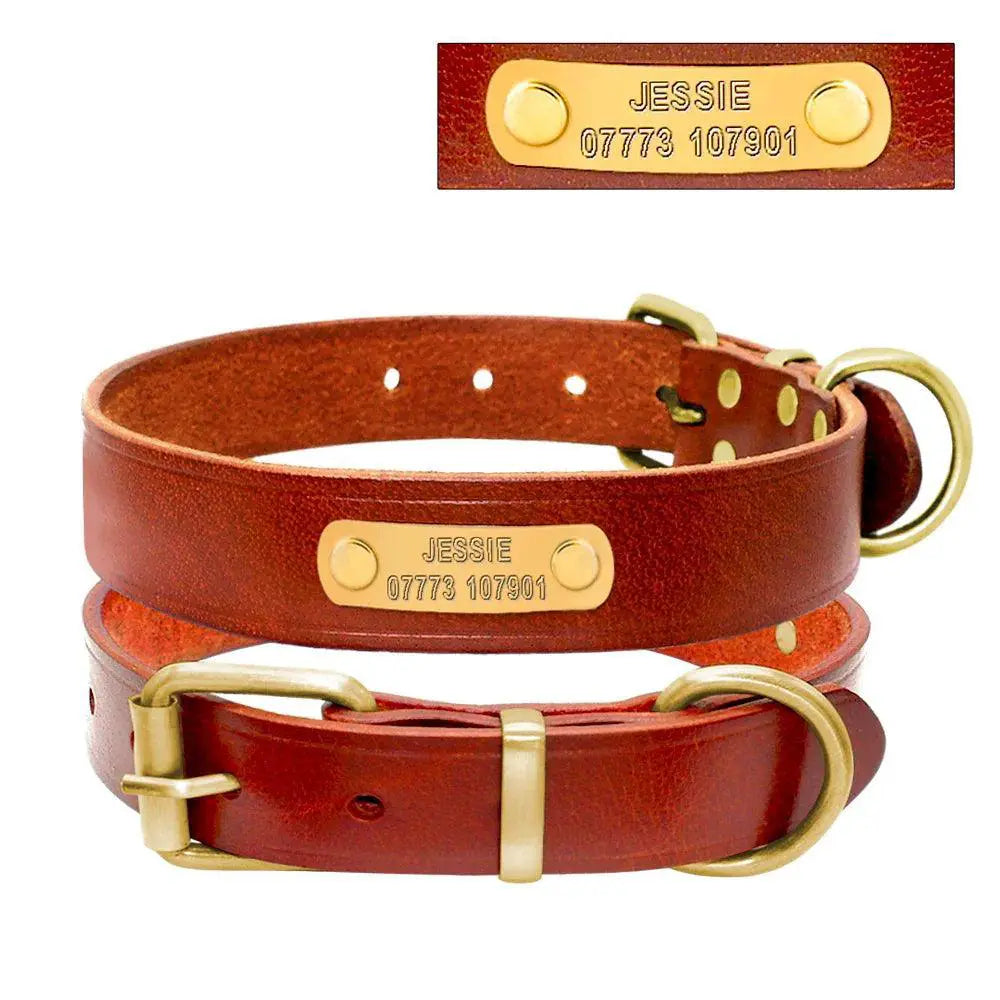 Personalized Leather Dog Collar With Free Engraving