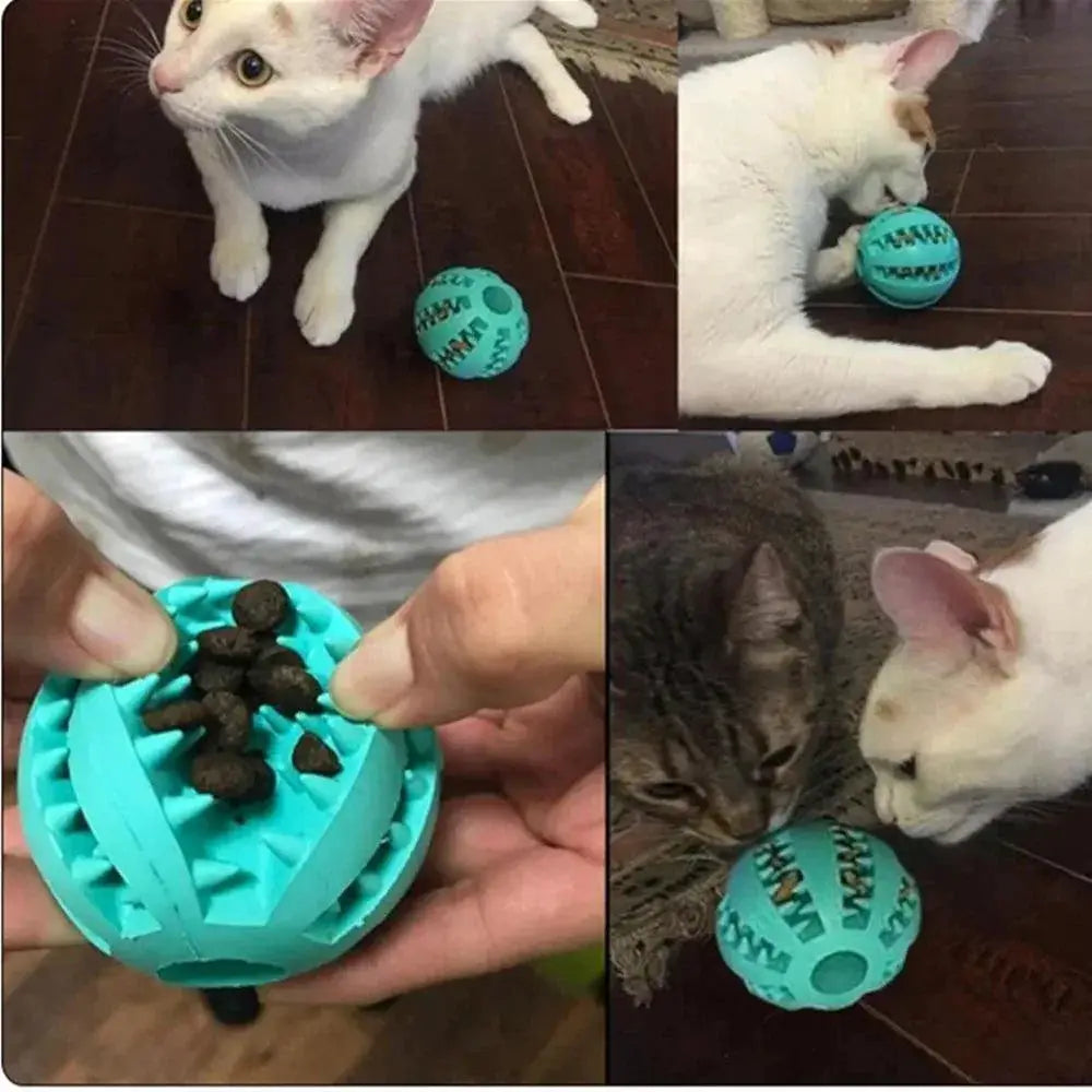 Dog Interactive Dental Health Chew Toy Ball For Pets