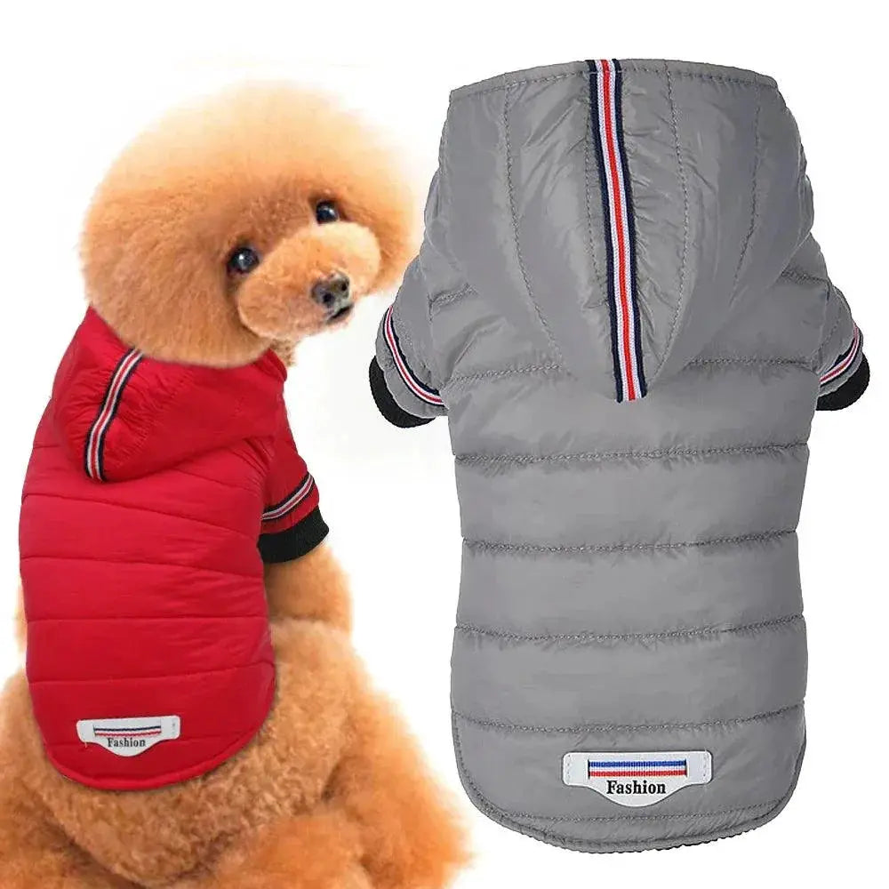 Chihuahua Winter Jacket Red Waterproof Coat For Small Dogs