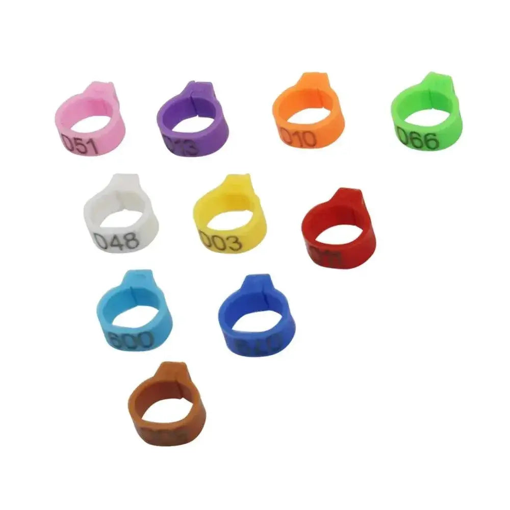 Birds Feet Rings 10 Colors Variety Pack For Bird Training