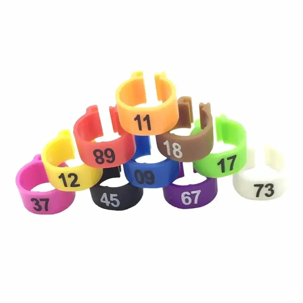 Colorful Bird Foot Rings For Pigeons And Parrots Durable