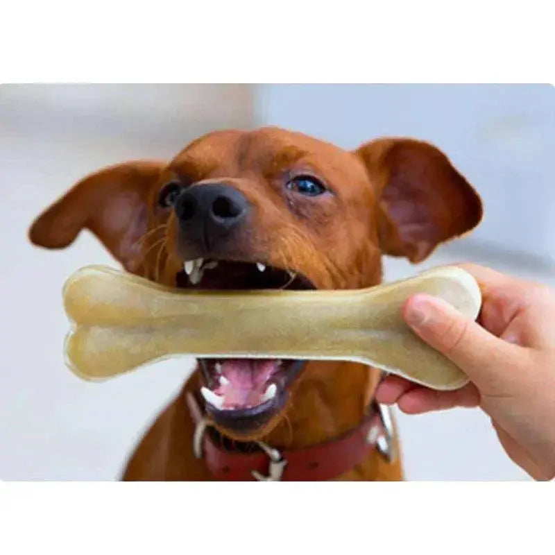 Durable Leather Dog Chew Toy For Healthy Teeth And Gums