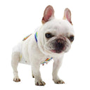 Rainbow Stripe Dog Diaper Suspenders for Pet Clothes Accessories
