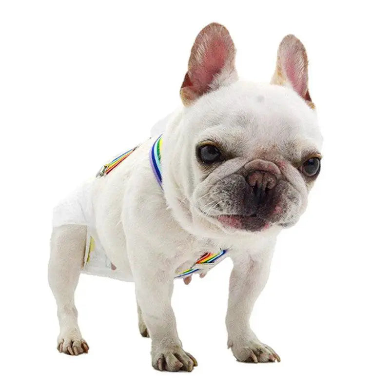 Rainbow Stripe Dog Diaper Suspenders For Pet Clothing