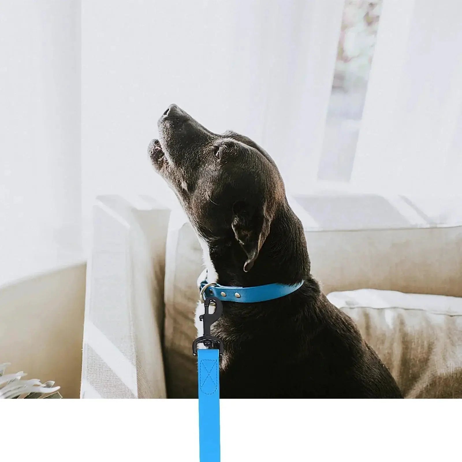 PVC Dog Leash Multicolor Waterproof Training Leash For Dogs