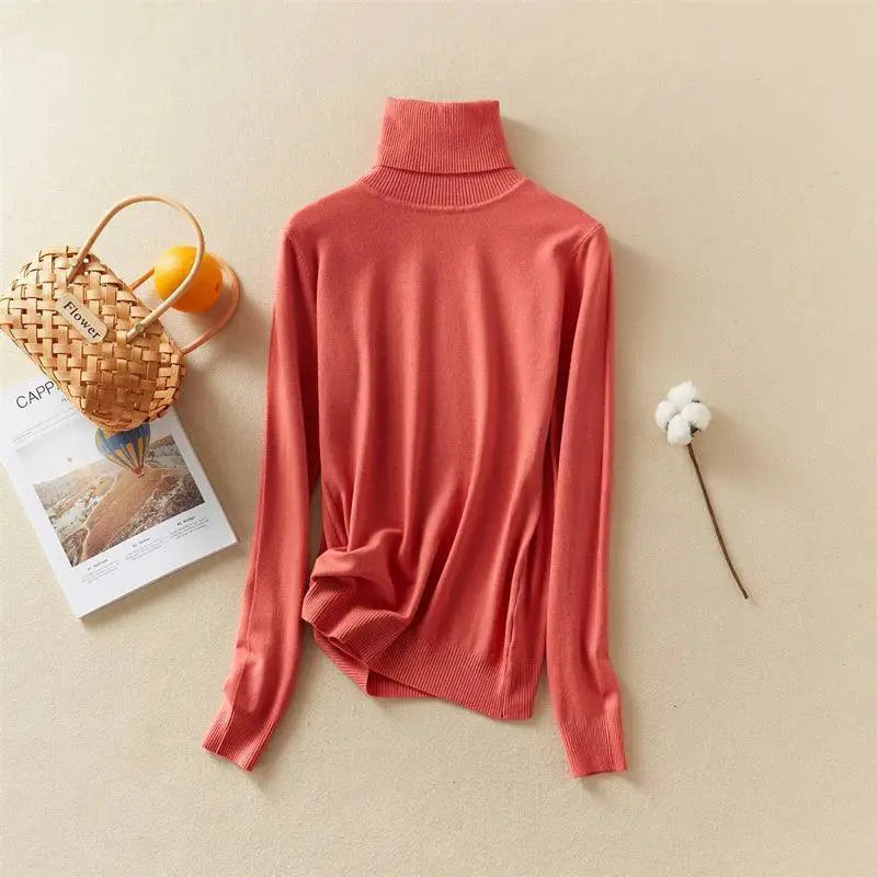 Marwin And Friend Knit Turtleneck Winter Sweater For Women