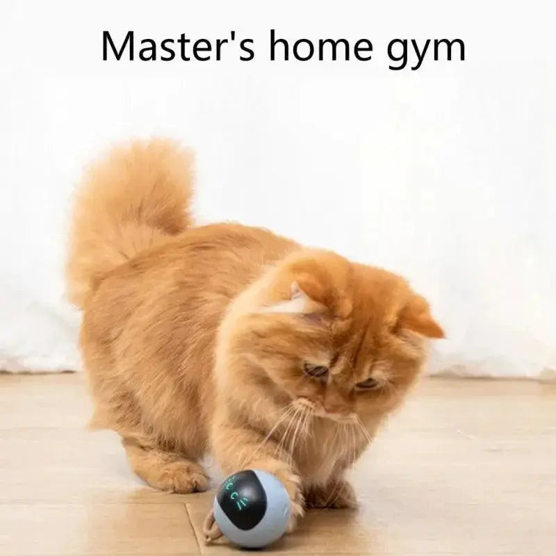 Interactive LED Cat Toy Engage Entertain Exercise For Cats