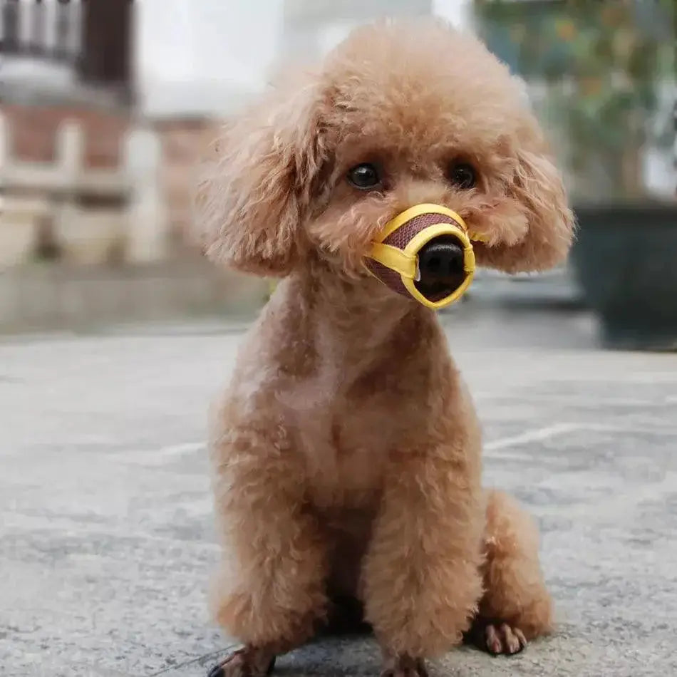 Adjustable Breathable Dog Muzzle for Safe Restraint