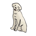 Cartoon Dog Enamel Pins Collection: Corgi Bulldog Brooch