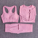 Seamless Yoga Set Women Leggings Crop Top