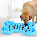 Pet Slow Feeder Bowl: Healthy Rubber Anti-Slip Dog Cat