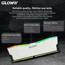 Gloway RGB Desktop RAM: Elevate Gaming Performance