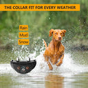 Anti Barking Collar: Effective Sound Vibration Training Solution