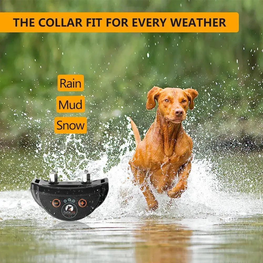 Anti Barking Collar With Sound Vibration Training Solution