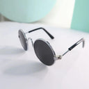 Trendy Pet Sunglasses for Cats and Small Dogs Look Stylish
