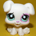 Rare LPS Cat & Animal Bobblehead Toys Cute Collection Set