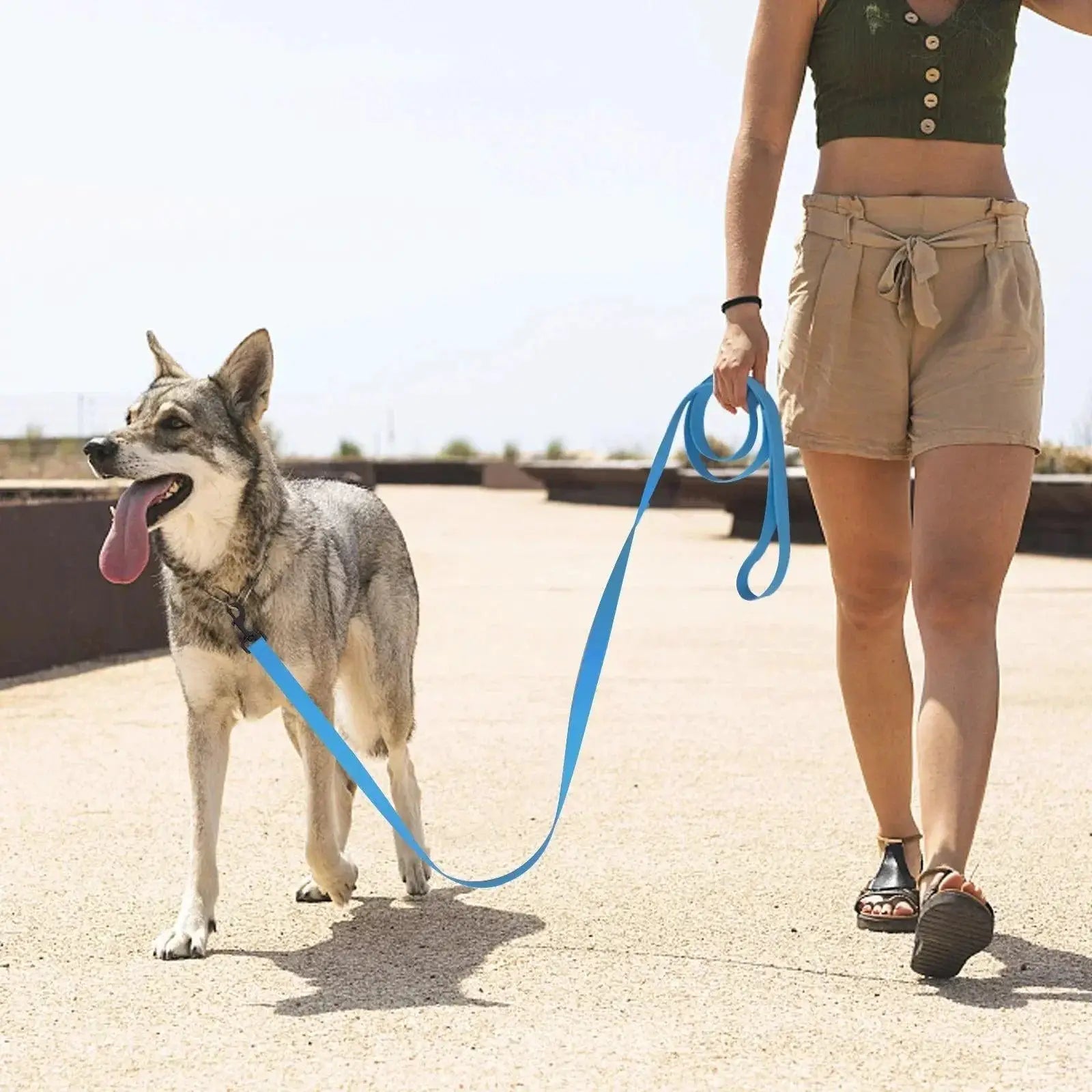 PVC Dog Leash Multicolor Waterproof Training Leash For Dogs
