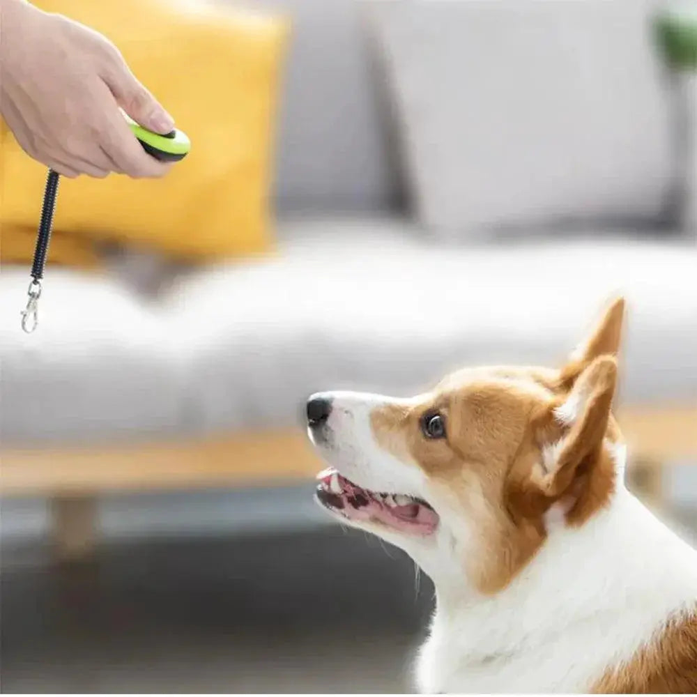 Pet Clicker Whistle Training Guide Green Color Essentials