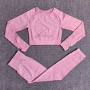 Seamless Yoga Set Women Leggings Crop Top