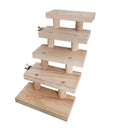 Wooden Ladder for Small Pets Enrichment