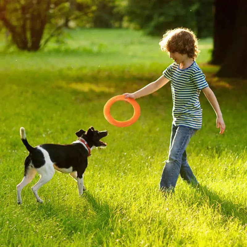 Big Dog Interactive Ring Puller Flying Disc Toy Active Play
