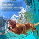 All Sizes Dog Training Collar Waterproof