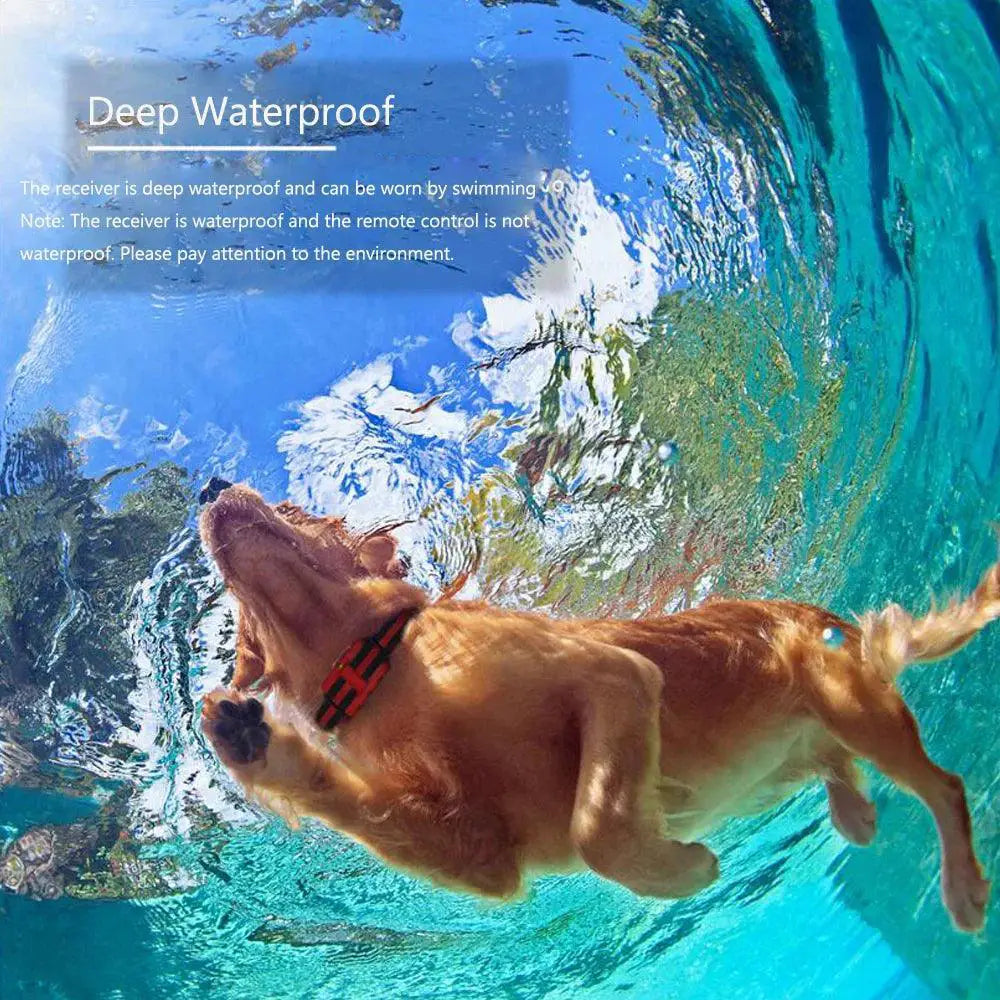 Dog Training Collar Waterproof Remote Control For All Sizes
