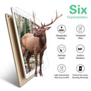 iPad Tempered Glass Screen Protector for Ultimate Protection