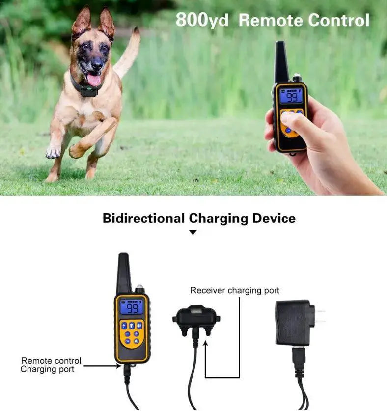 Waterproof Electric Dog Training Collar With Remote Control