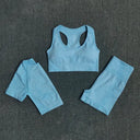 Seamless Yoga Set Women Leggings Crop Top