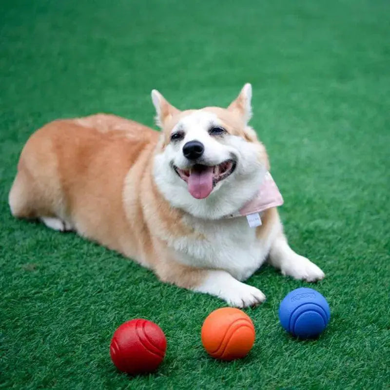 Indestructible Rubber Ball Chew Toy For Large Dogs Durable