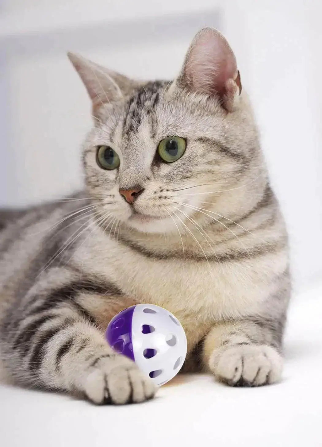 Interactive Cat Toy Set With Engaging Bell Balls For Fun