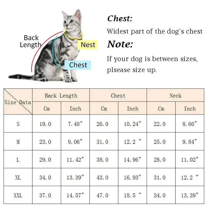 Autumn Warm Fleece Cat Costume Pullover For Cozy Cats