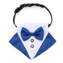 Pet Bow Tie Collar for Stylish Occasions