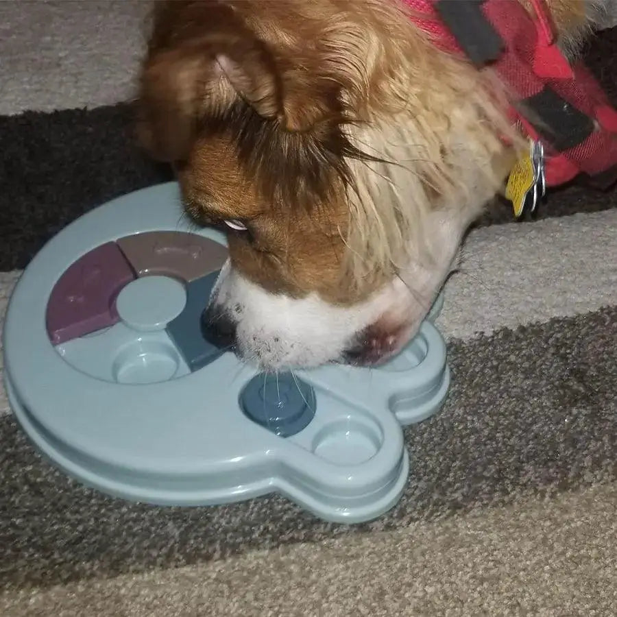 Interactive Dog Puzzle Toy For Bonding And Feeding