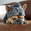 Winter Dog Hats Knitting French Bulldog & Chihuahua Hats