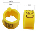 Pigeon Training Leg Bands: Colorful Plastic Bird Tags