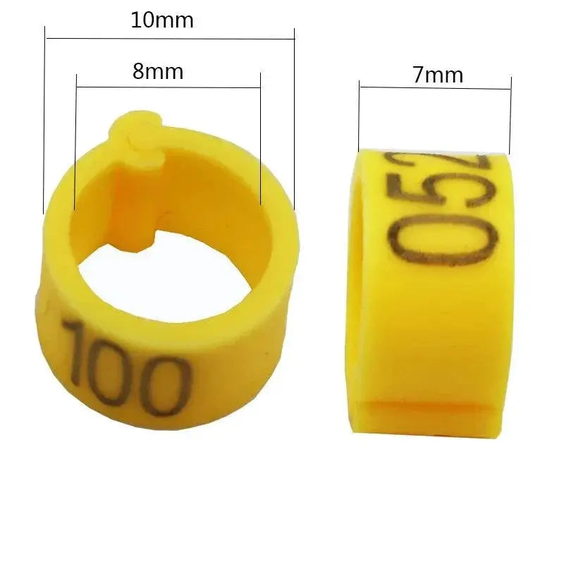 Pigeon Training Leg Bands Colorful Plastic Bird Tags 100 Pcs